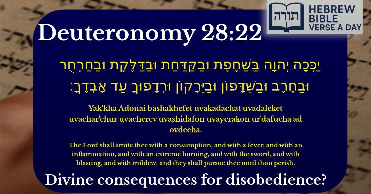 Deuteronomy 28:22 - דברים 28:22