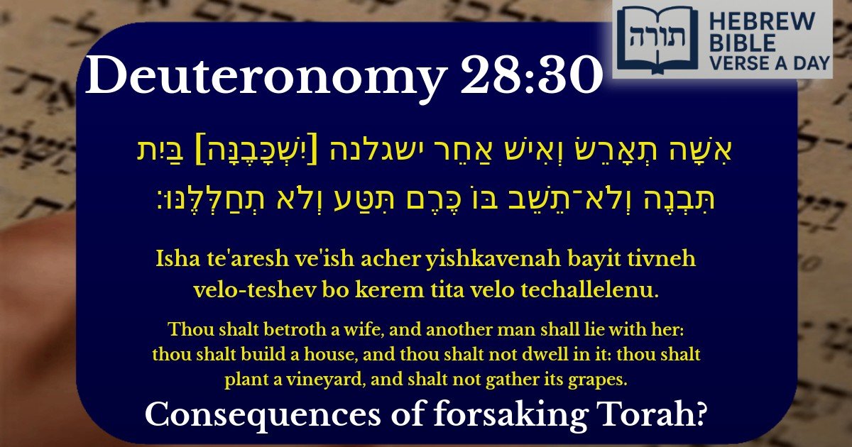 Deuteronomy 28:30 - דברים 28:30