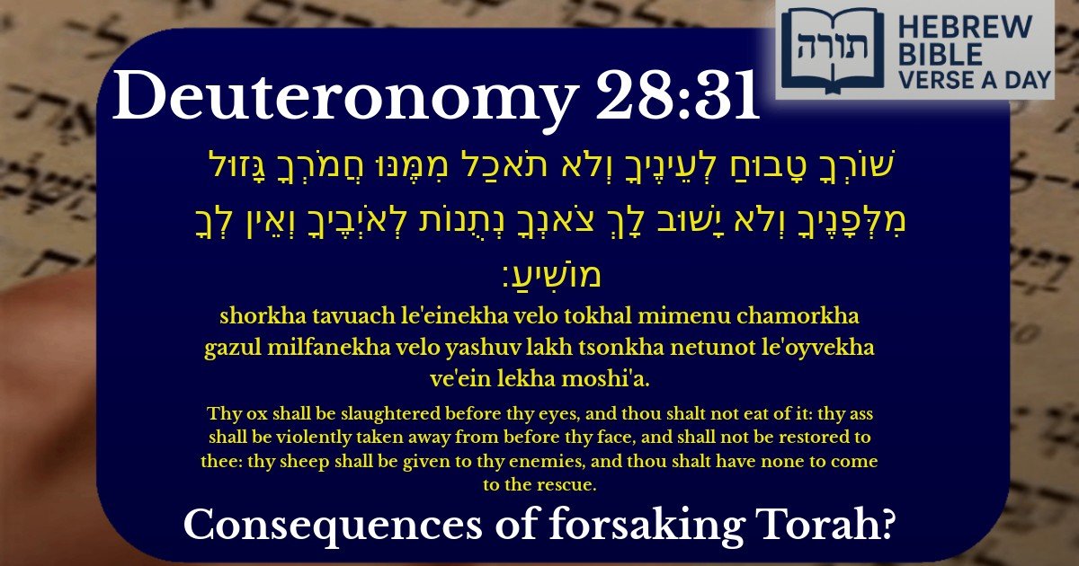 Deuteronomy 28:31 - דברים 28:31