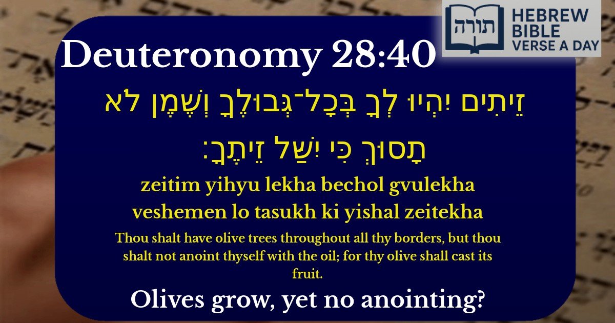 Deuteronomy 28:40 - דברים 28:40