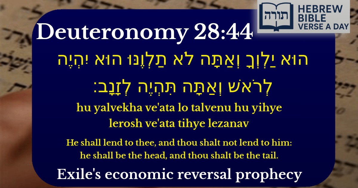 Deuteronomy 28:44 - דברים 28:44