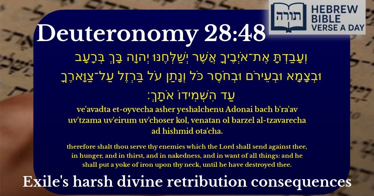 Deuteronomy 28:48 - דברים 28:48