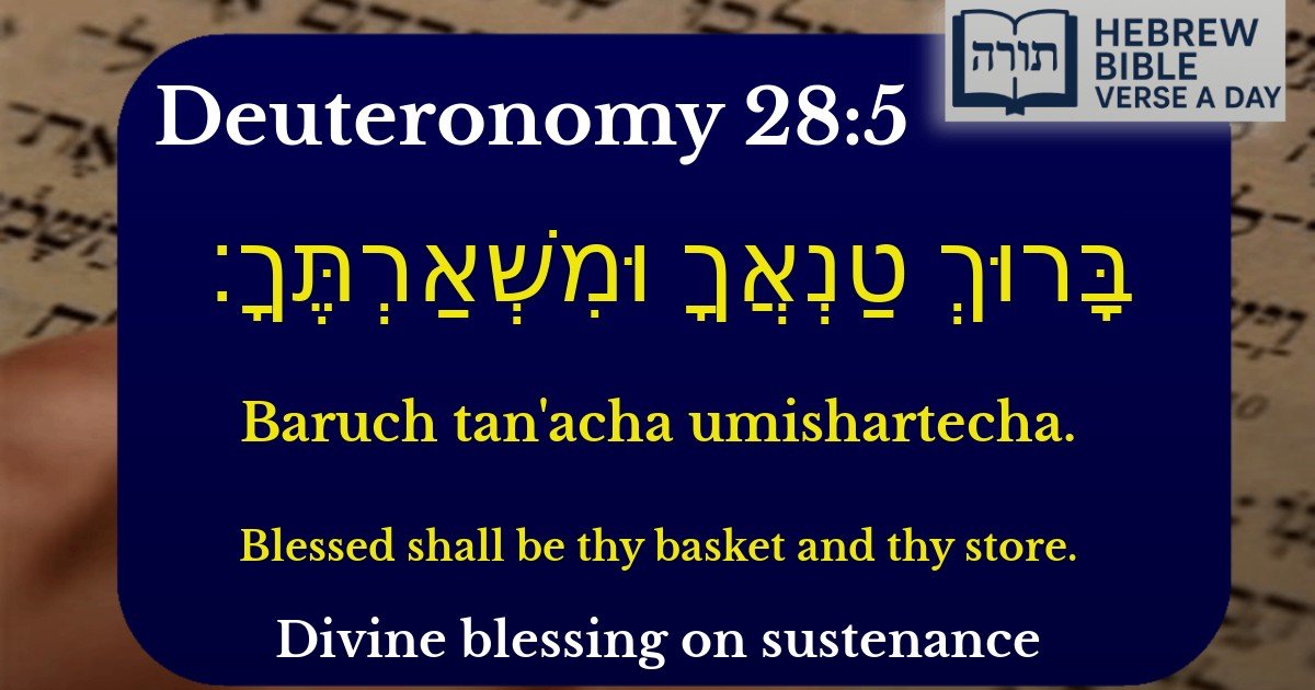 Deuteronomy 28:5 - דברים 28:5