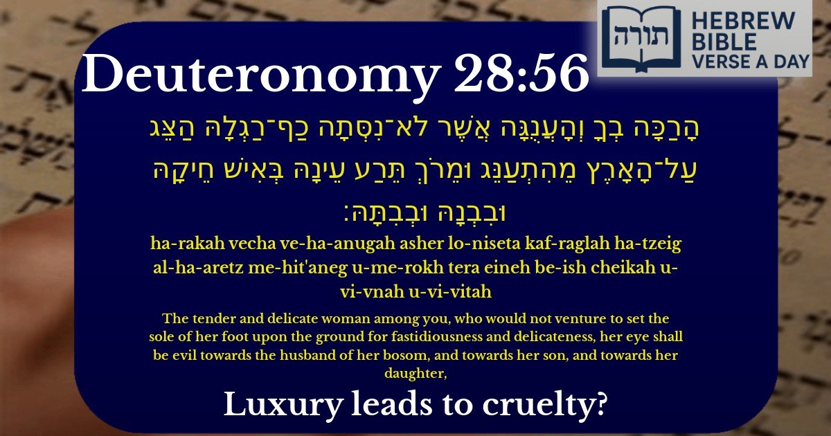 Deuteronomy 28:56 - דברים 28:56