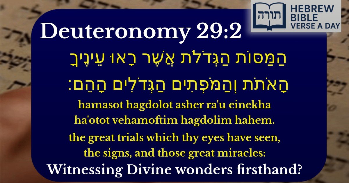 Deuteronomy 29:2 - דברים 29:2