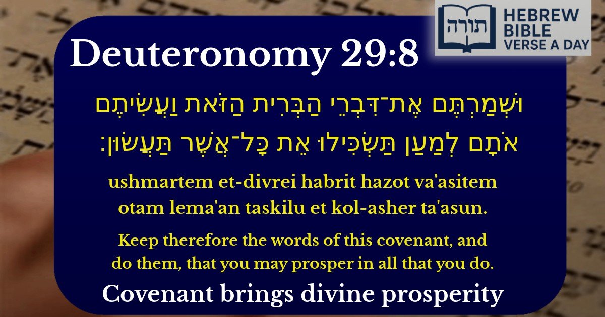 Deuteronomy 29:8 - דברים 29:8