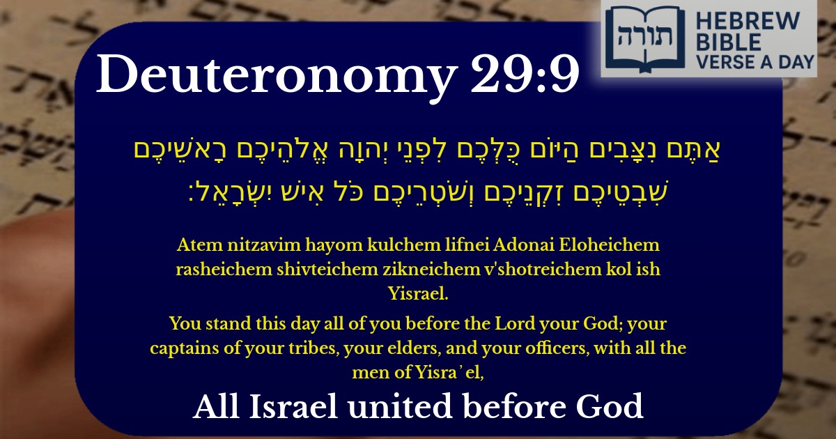 Deuteronomy 29:9 - דברים 29:9