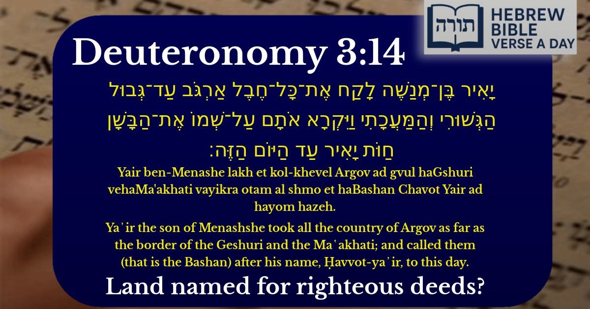 Deuteronomy 3:14 - דברים 3:14