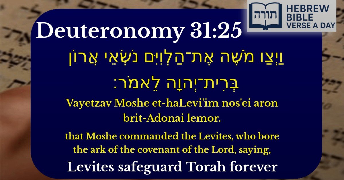 Deuteronomy 31:25 - דברים 31:25