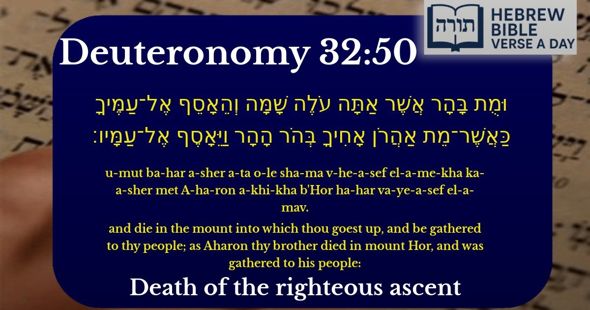 Deuteronomy 32:50 - דברים 32:50