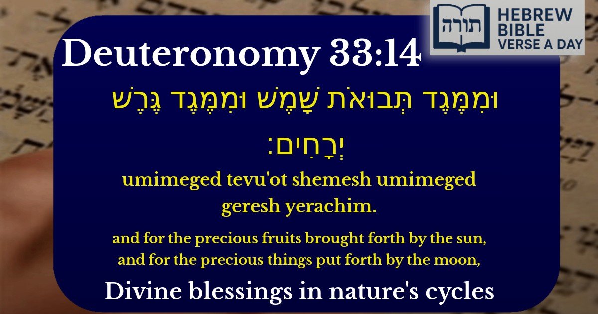 Deuteronomy 33:14 - דברים 33:14