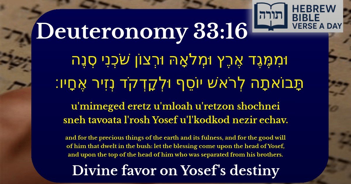 Deuteronomy 33:16 - דברים 33:16