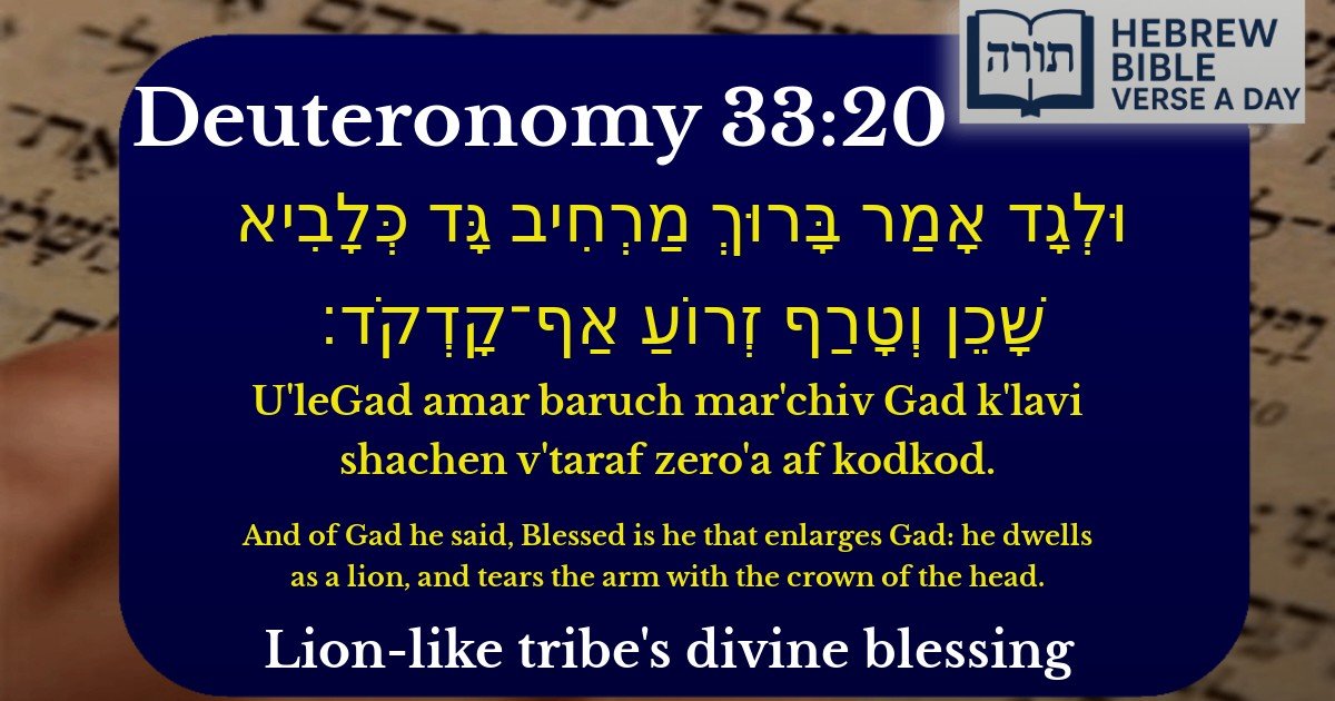 Deuteronomy 33:20 - דברים 33:20
