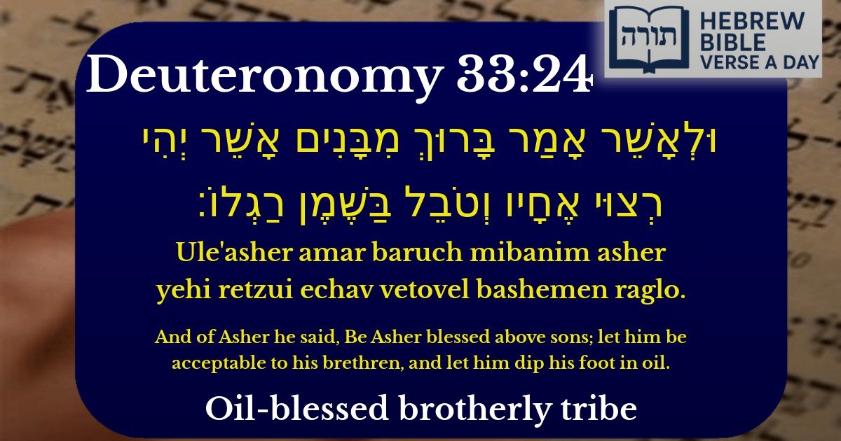 Deuteronomy 33:24 - דברים 33:24