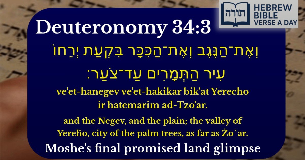 Deuteronomy 34:3 - דברים 34:3