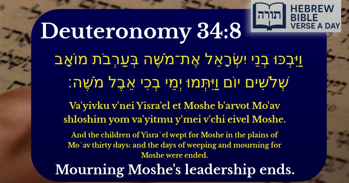 Deuteronomy 34:8 - דברים 34:8