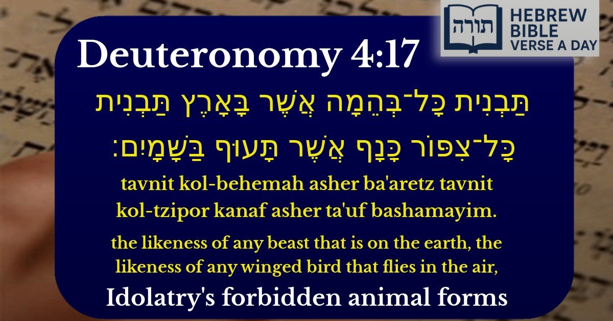Deuteronomy 4:17 - דברים 4:17