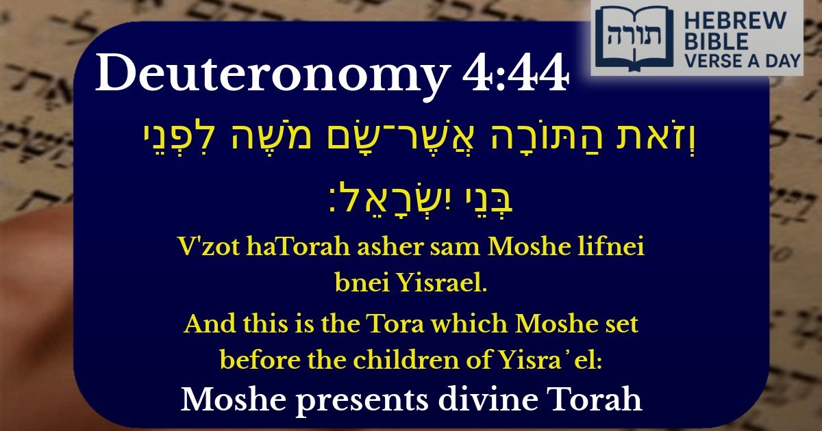 Deuteronomy 4:44 - דברים 4:44