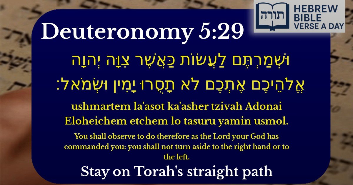 Deuteronomy 5:29 - דברים 5:29