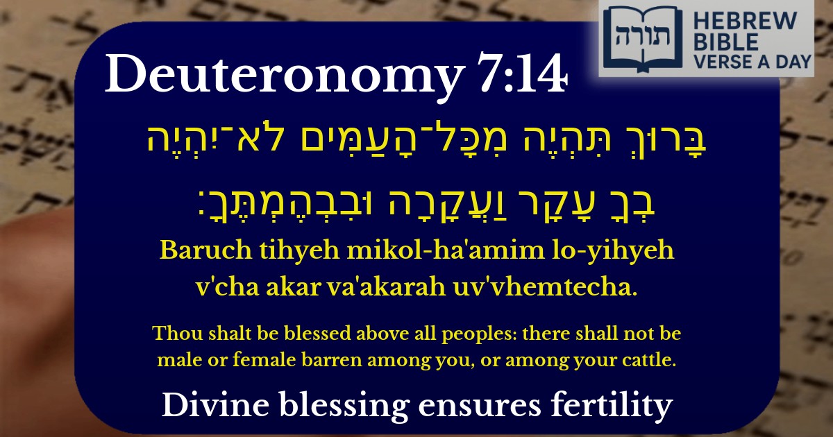 Deuteronomy 7:14 - דברים 7:14