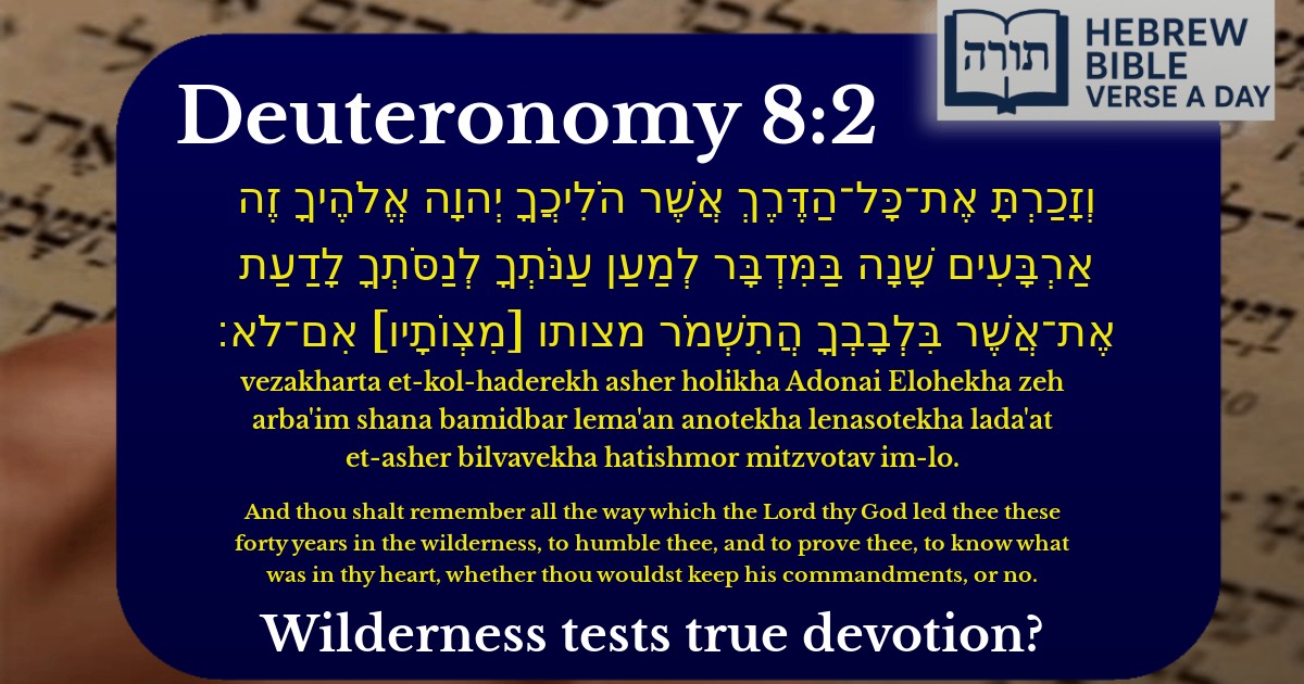 Deuteronomy 8:2 - דברים 8:2