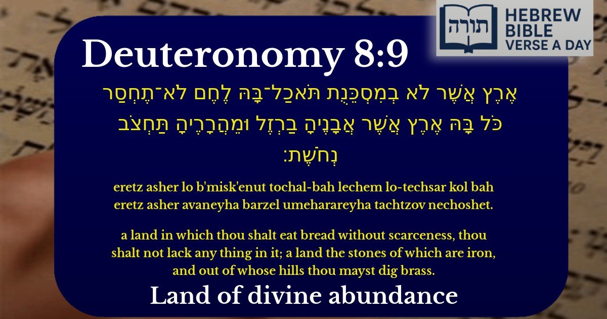 Deuteronomy 8:9 - דברים 8:9