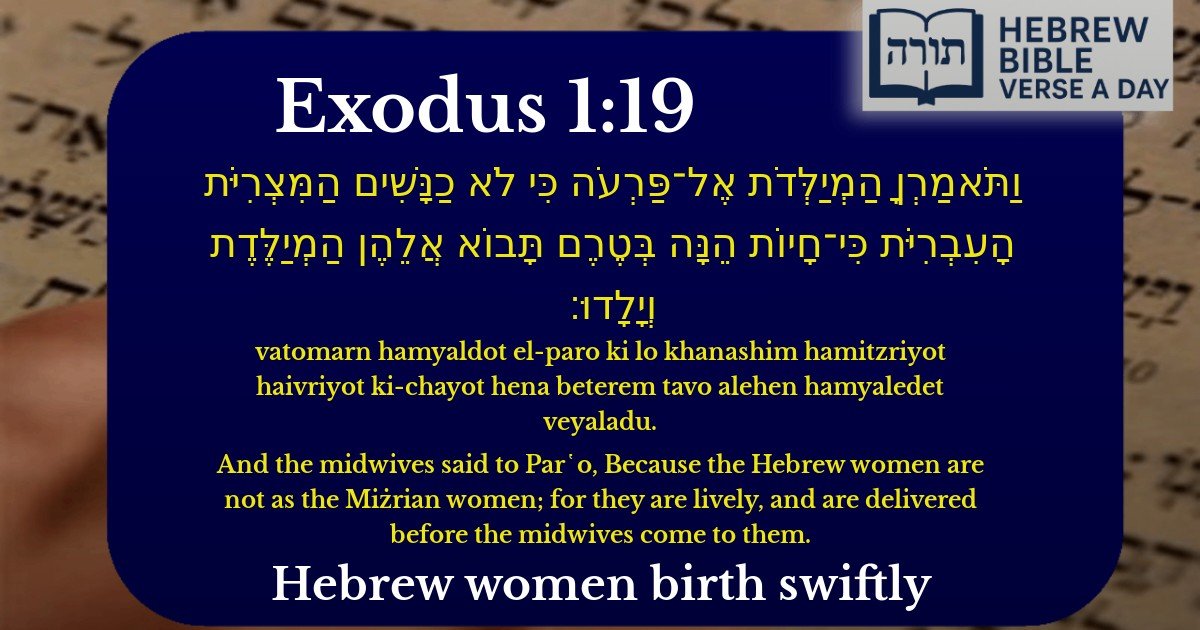 Exodus 1:19 - שמות 1:19
