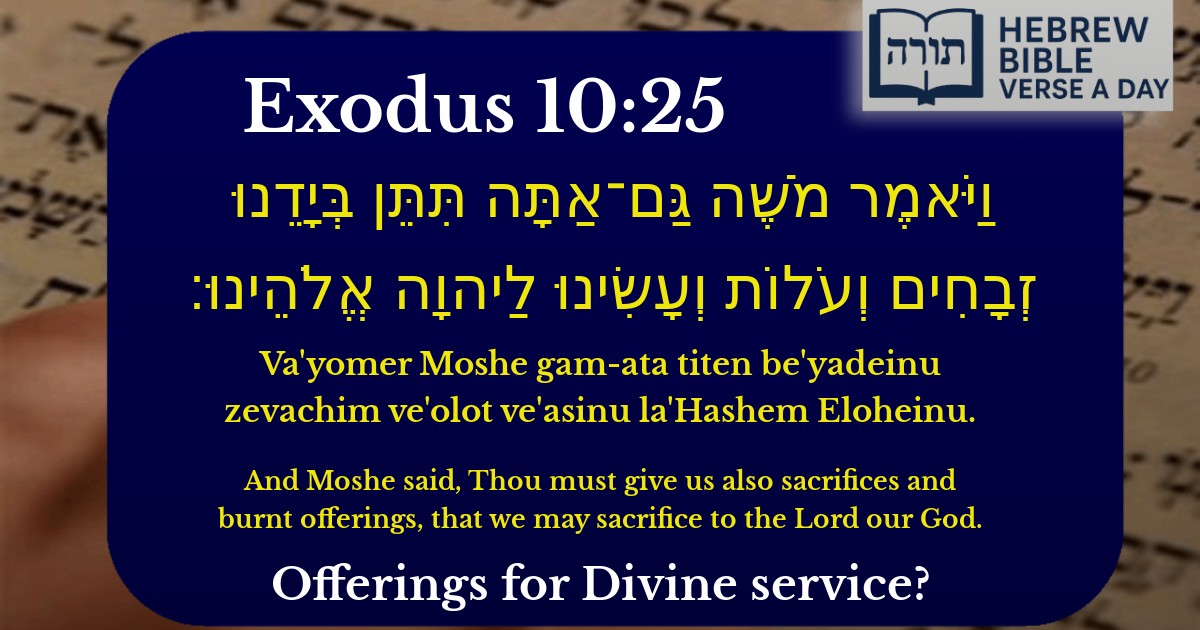 Exodus 10:25 - שמות 10:25