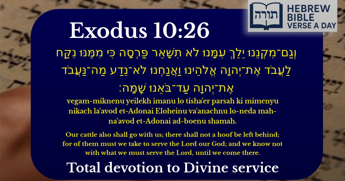 Exodus 10:26 - שמות 10:26