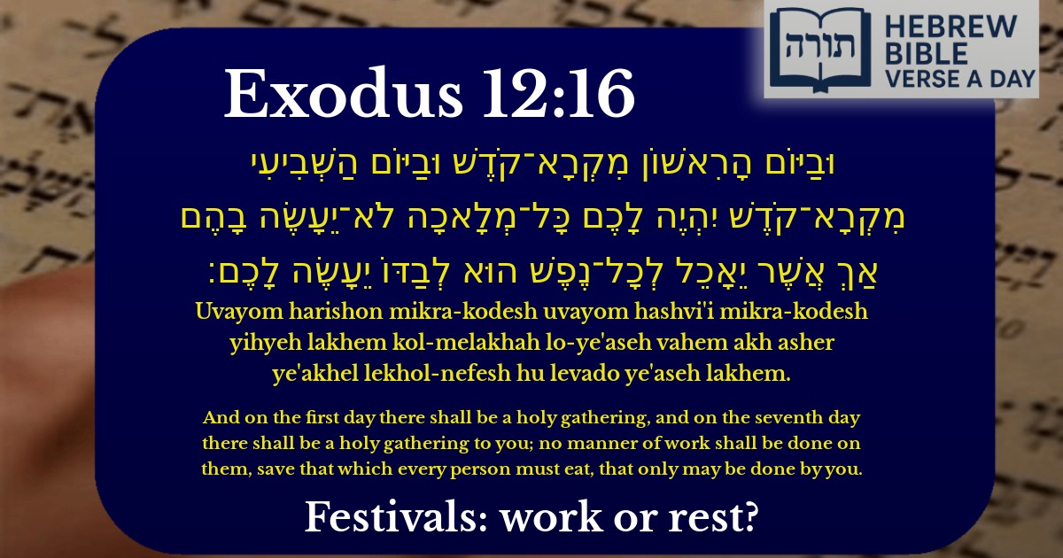 Exodus 12:16 - שמות 12:16