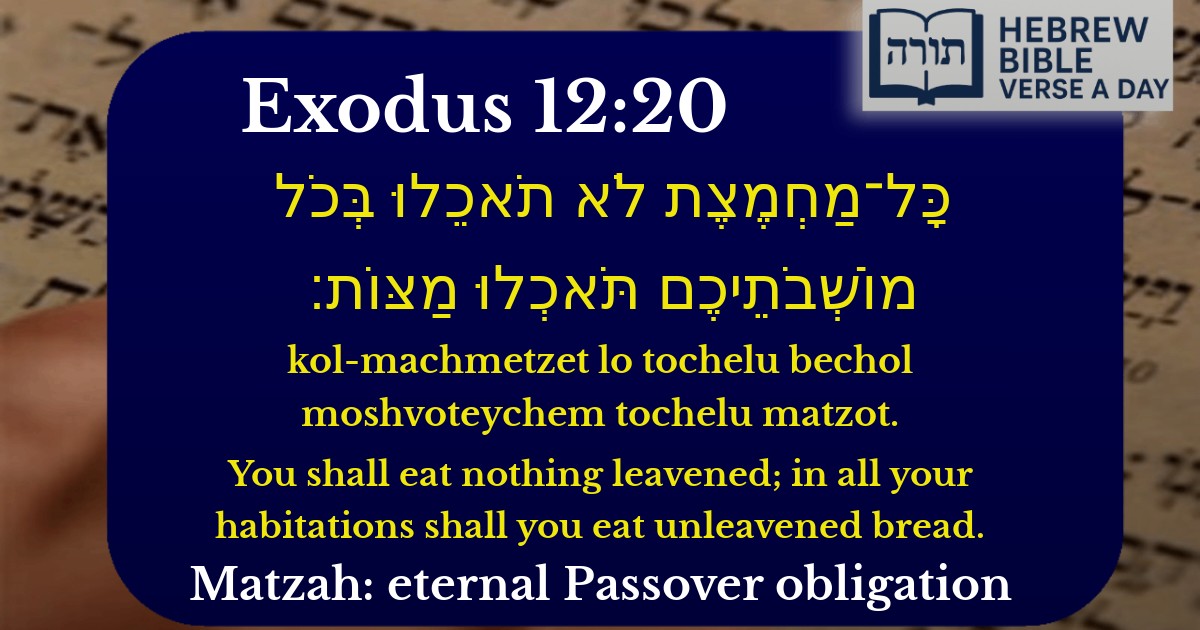 Exodus 12:20 - שמות 12:20