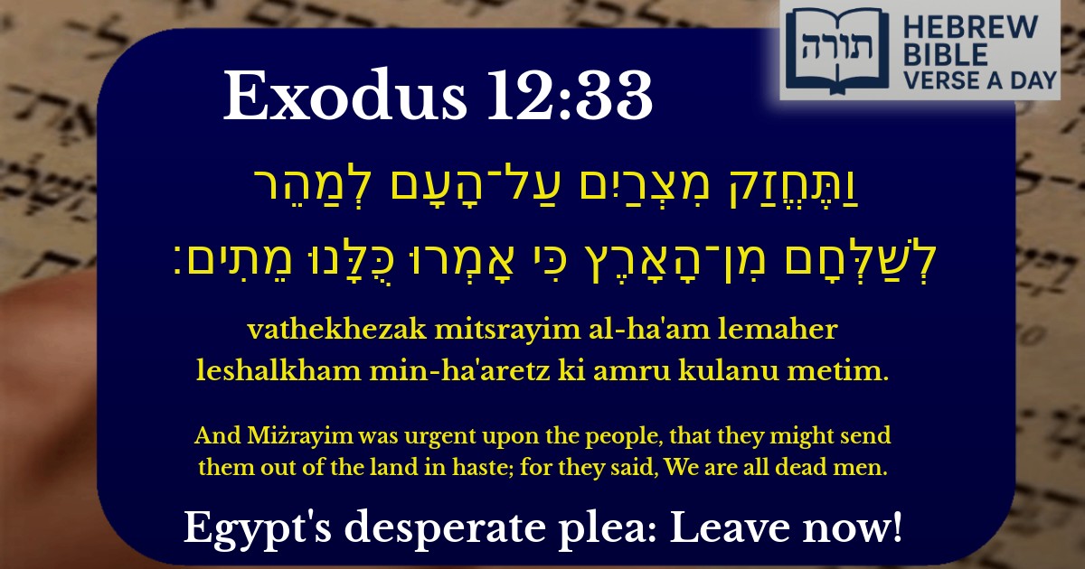 Exodus 12:33 - שמות 12:33