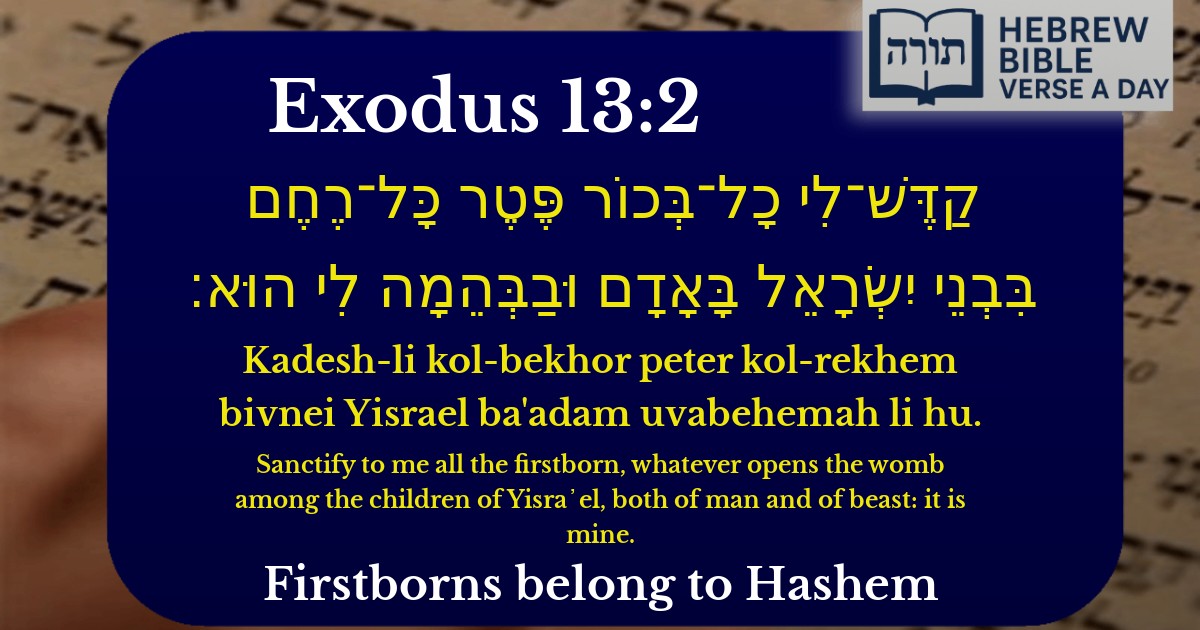 Exodus 13:2 - שמות 13:2