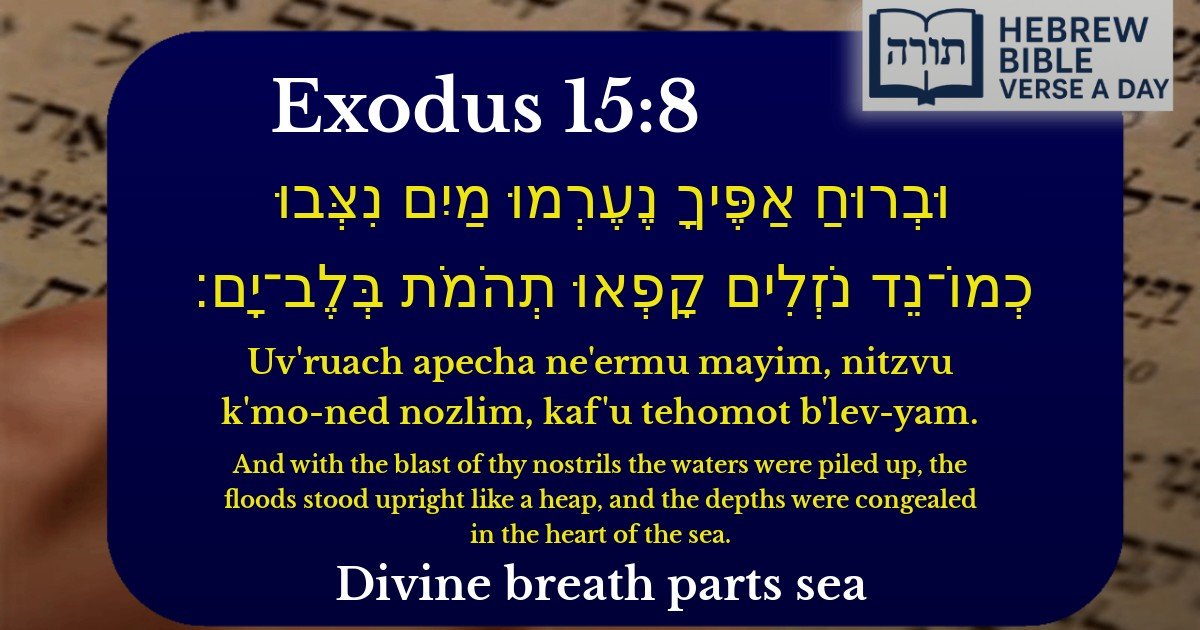 Exodus 15:8 - שמות 15:8