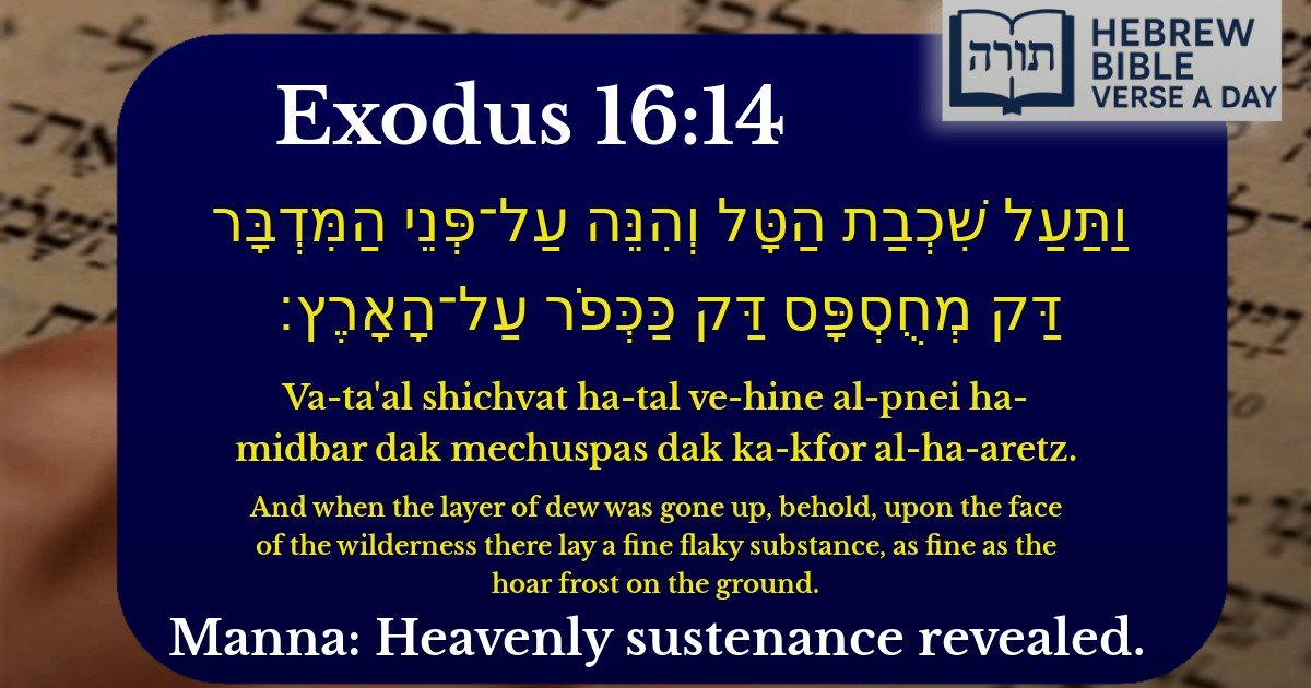 Exodus 16:14 - שמות 16:14