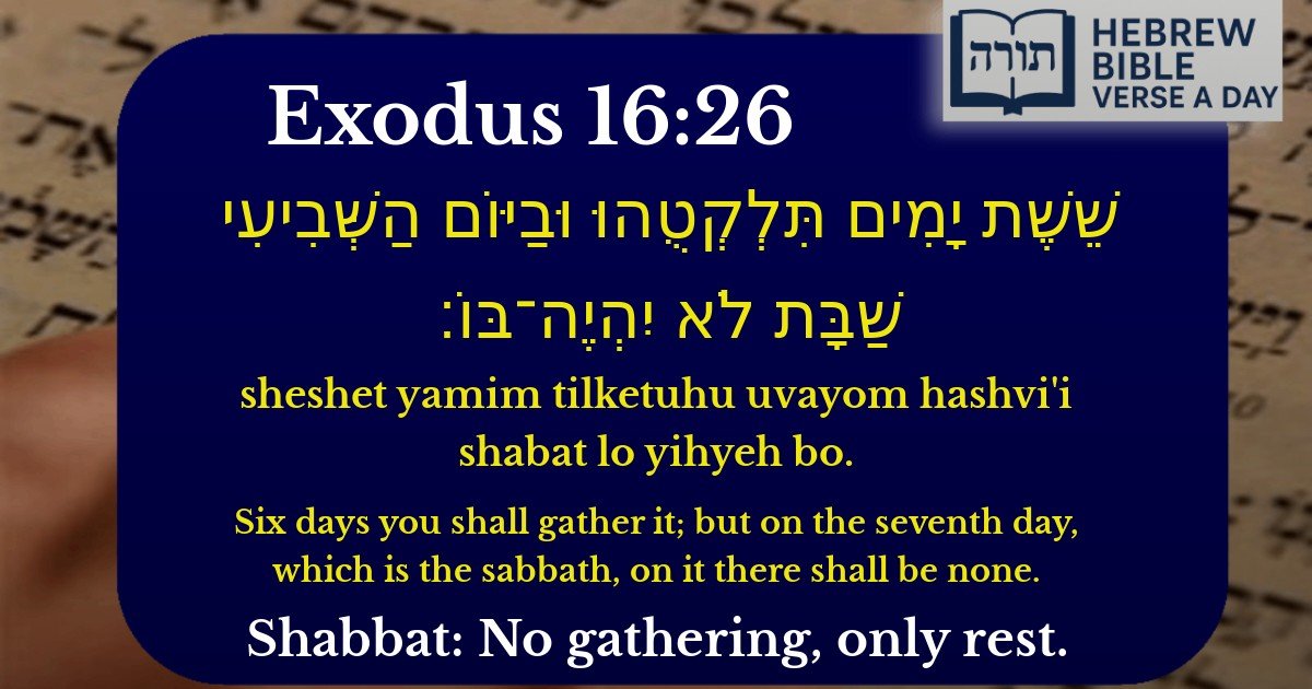 Exodus 16:26 - שמות 16:26