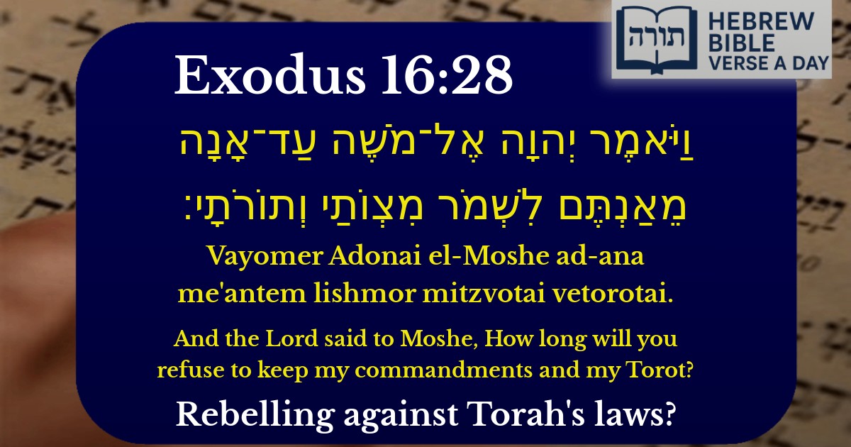 Exodus 16:28 - שמות 16:28