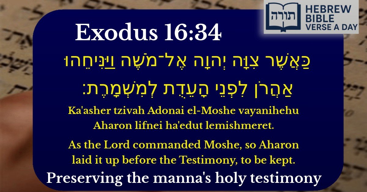 Exodus 16:34 - שמות 16:34