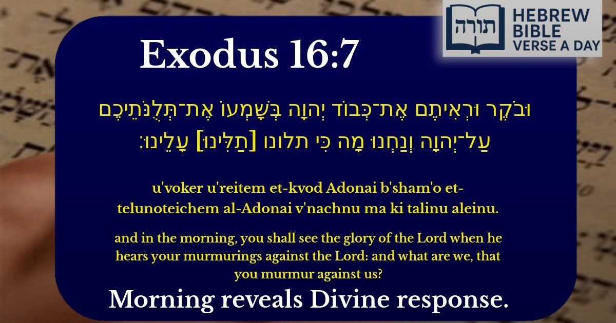 Exodus 16:7 - שמות 16:7
