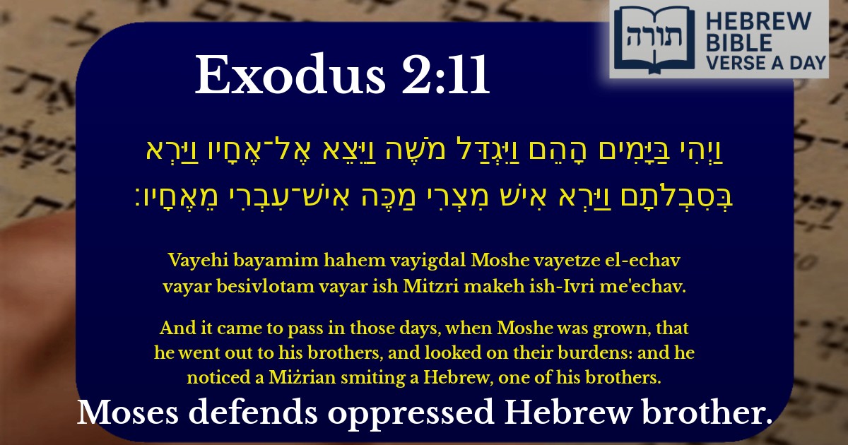 Exodus 2:11 - שמות 2:11