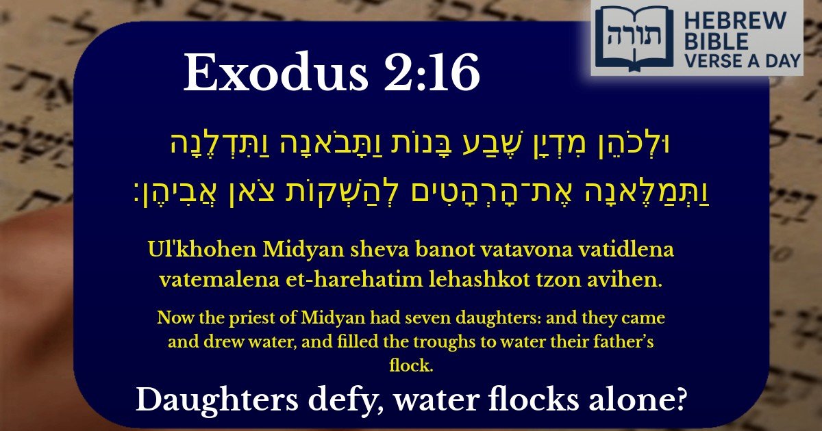 Exodus 2:16 - שמות 2:16