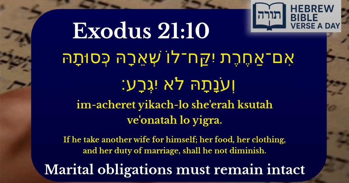 Exodus 21:10 - שמות 21:10
