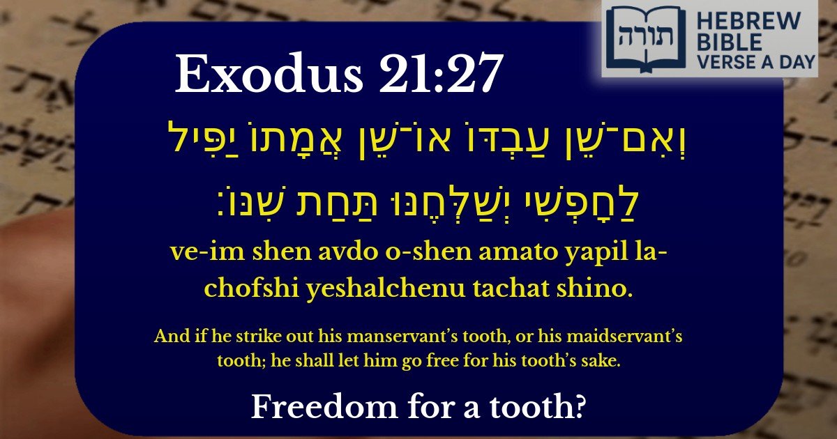 Exodus 21:27 - שמות 21:27