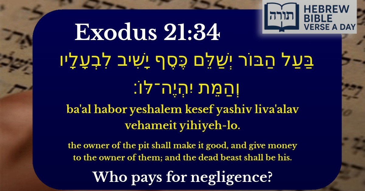 Exodus 21:34 - שמות 21:34