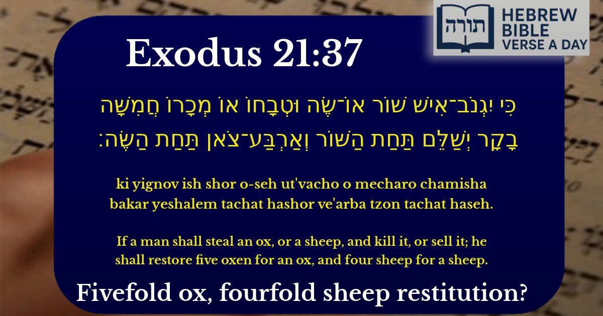 Exodus 21:37 - שמות 21:37