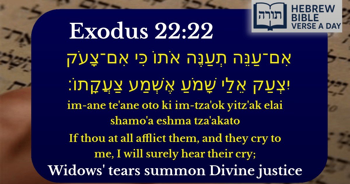 Exodus 22:22 - שמות 22:22