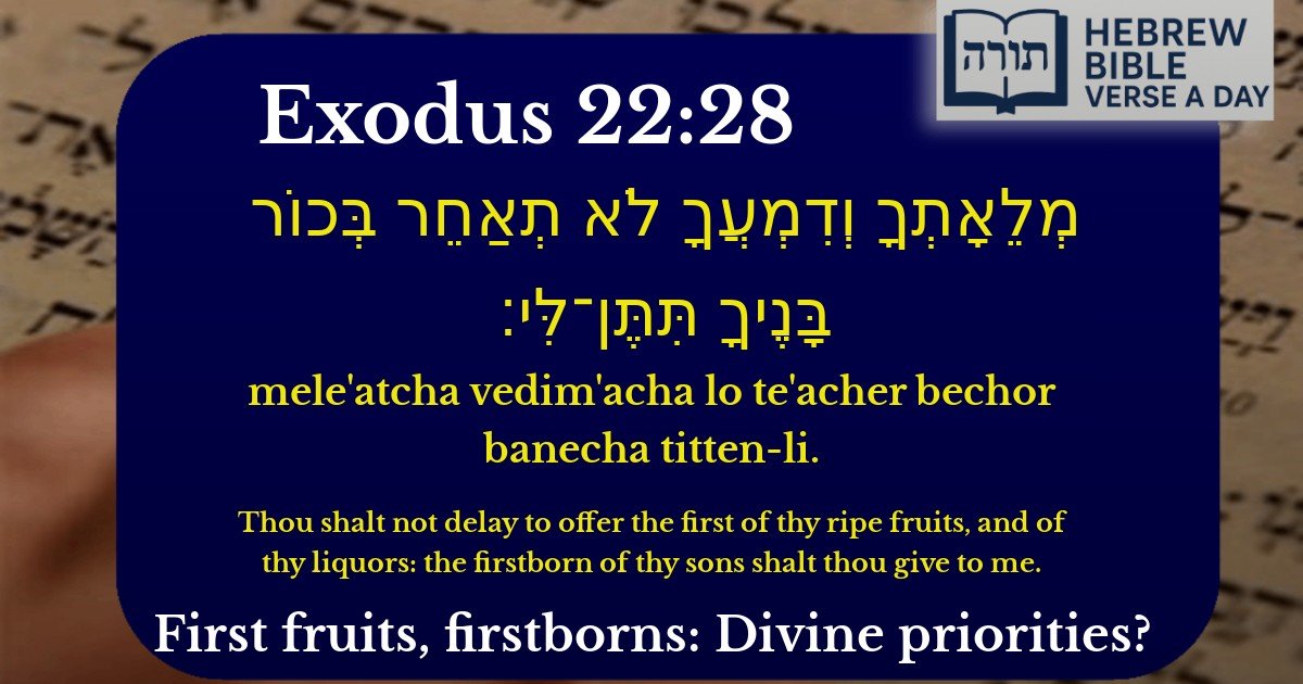 Exodus 22:28 - שמות 22:28