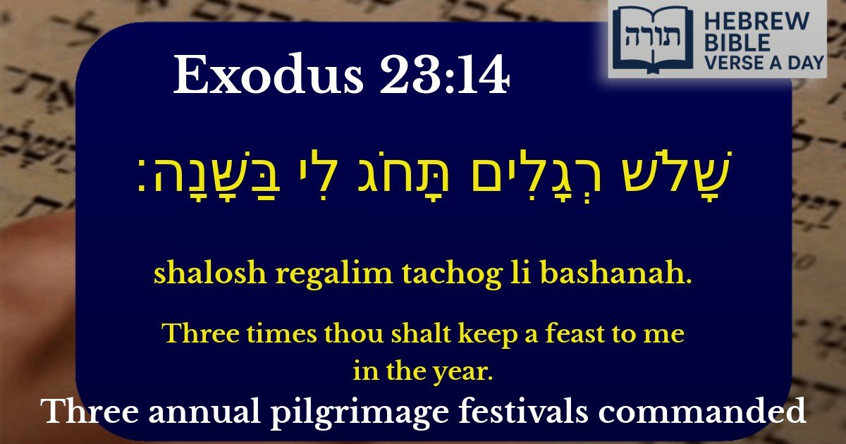 Exodus 23:14 - שמות 23:14