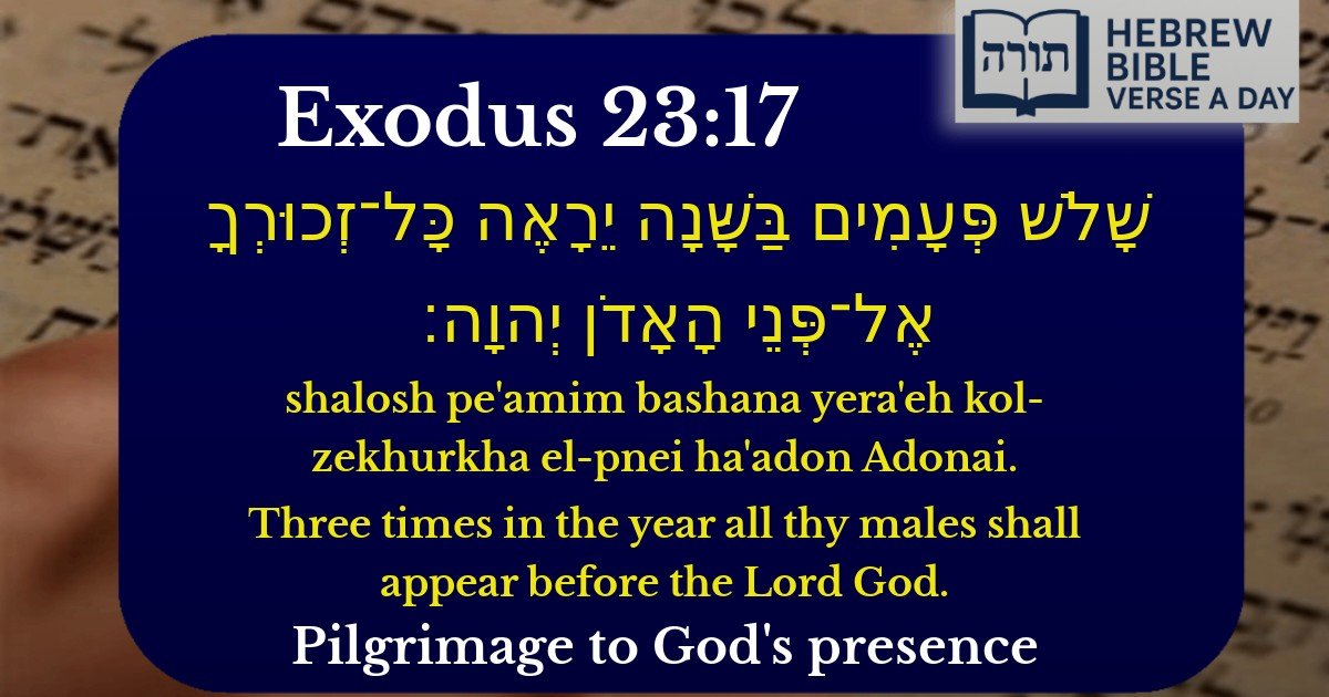 Exodus 23:17 - שמות 23:17
