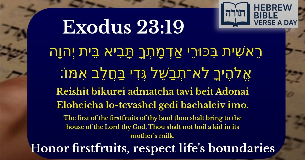 Exodus 23:19 - שמות 23:19